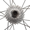 image:imagePARKTOOL BBT5 Bottom Bracket Tool 12 Notches for Campanolo FreeCartridge BB