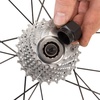 image:imagePARKTOOL BBT5 Bottom Bracket Tool 12 Notches for Campanolo FreeCartridge BB